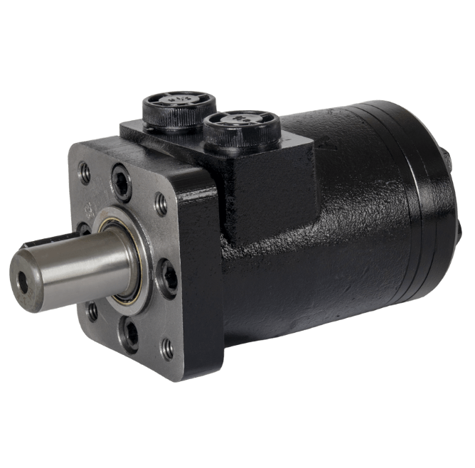 hydraulic motor